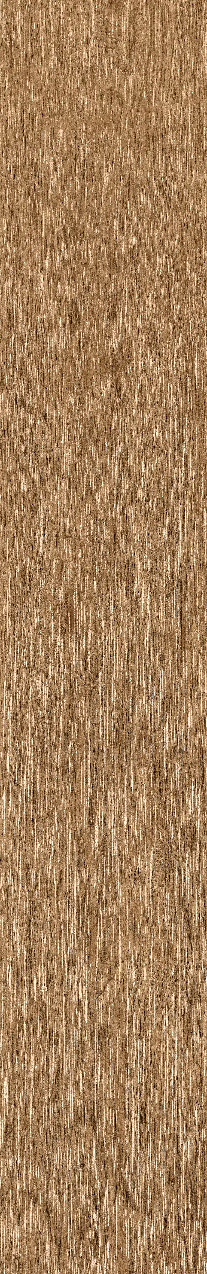 半岛MAX · 数码模具 W1202304 · W1202304 单片图 13