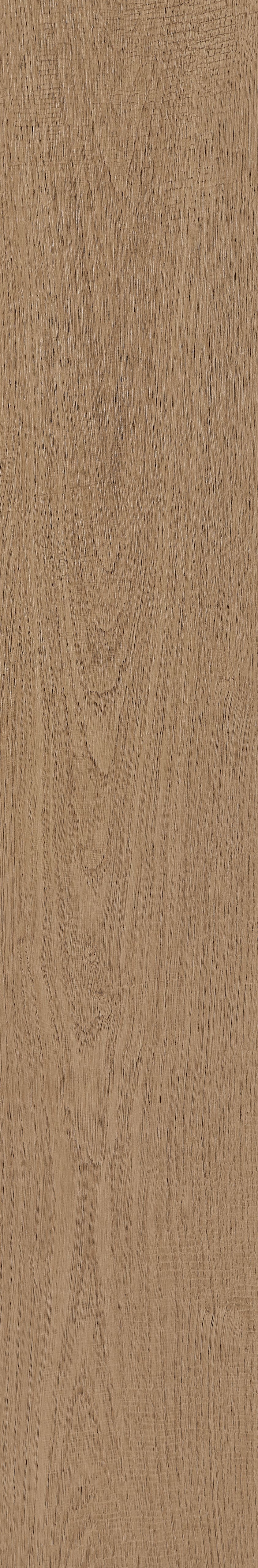 Fragrant · Matt Mould W1202331 · W1202331 Single Tile Image 2
