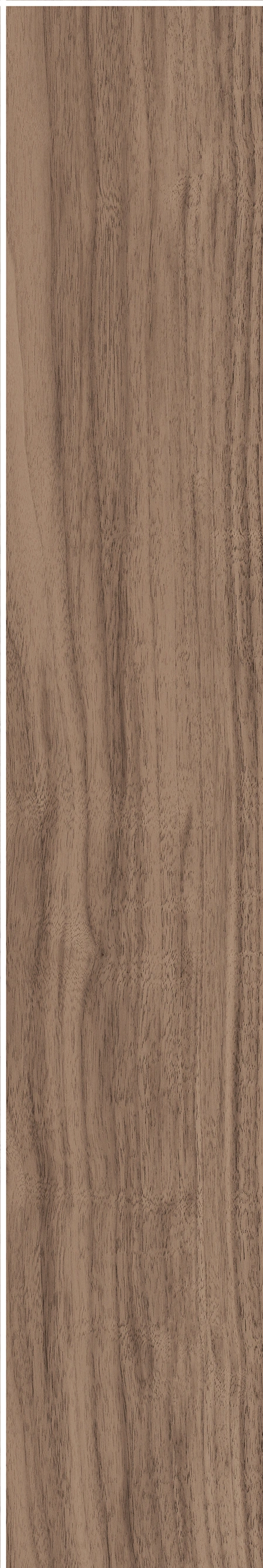 North American Walnut · Matt mould W1202075 · W1202075 single tile image 23