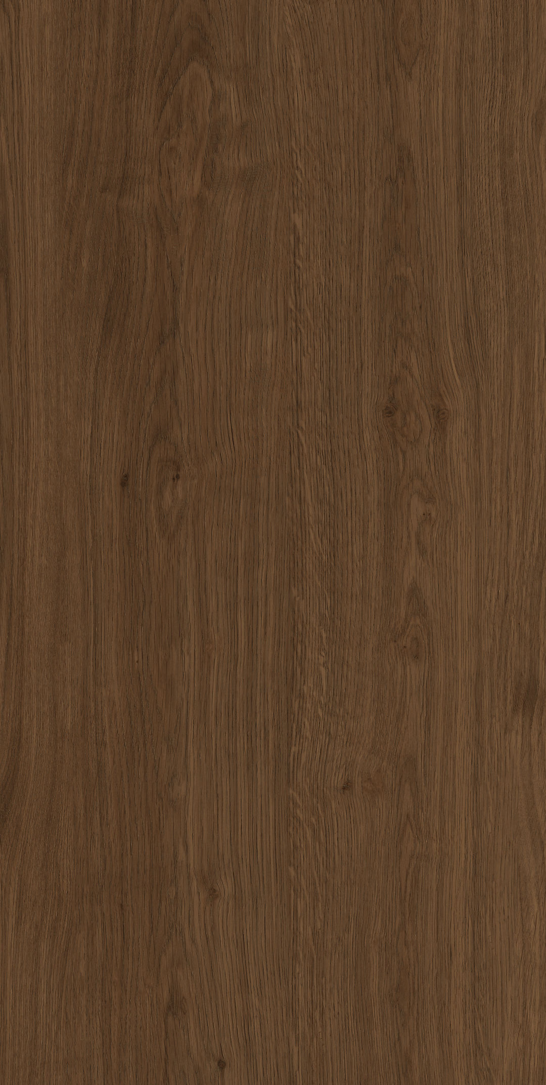 Yangmu · Digital mould W1206344 · W1206344 single tile image 11