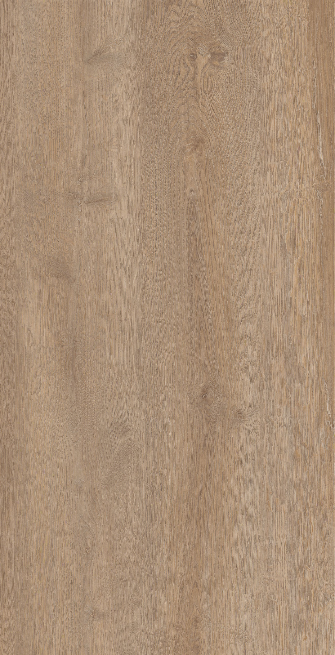 Yimu · Matt Mould W1206530 · W1206530 single tile image 6