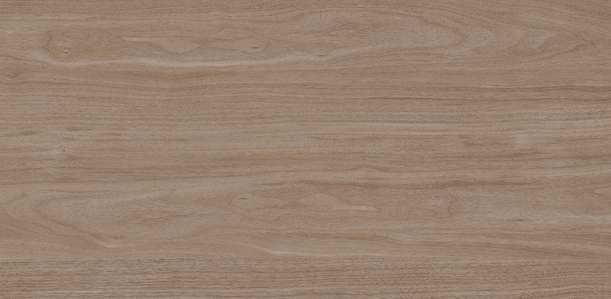 West Coast Walnut · Velvet R1206501 · R1206501 Single tile image 8
