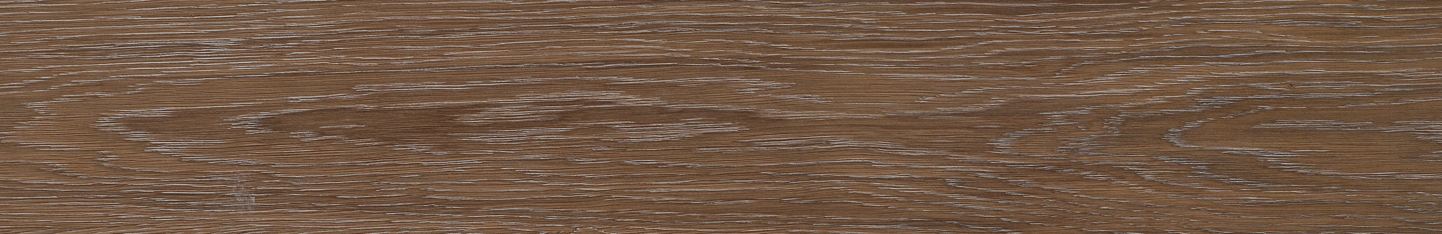 North American Ash · Matt Mould W1202309 · W1202309 Single tile image 11