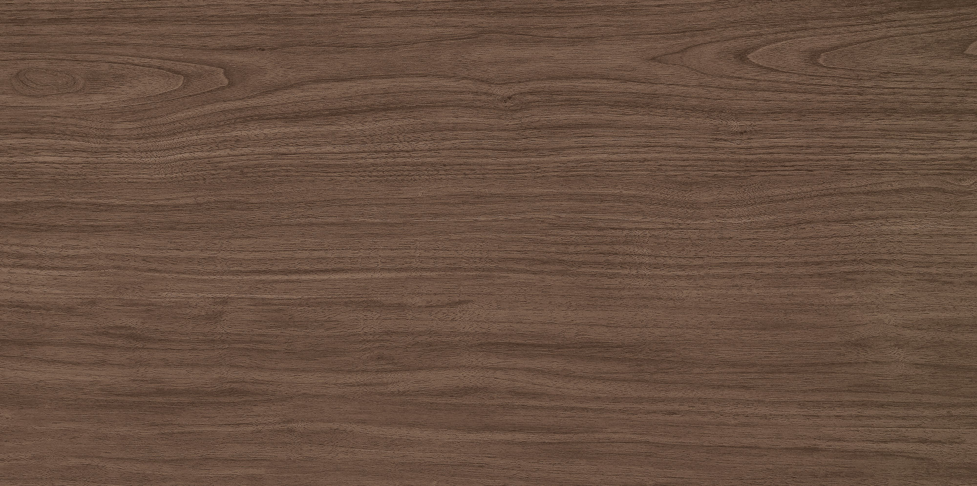 West Coast Walnut · Velvet R1206502 · R1206502 Single tile 3