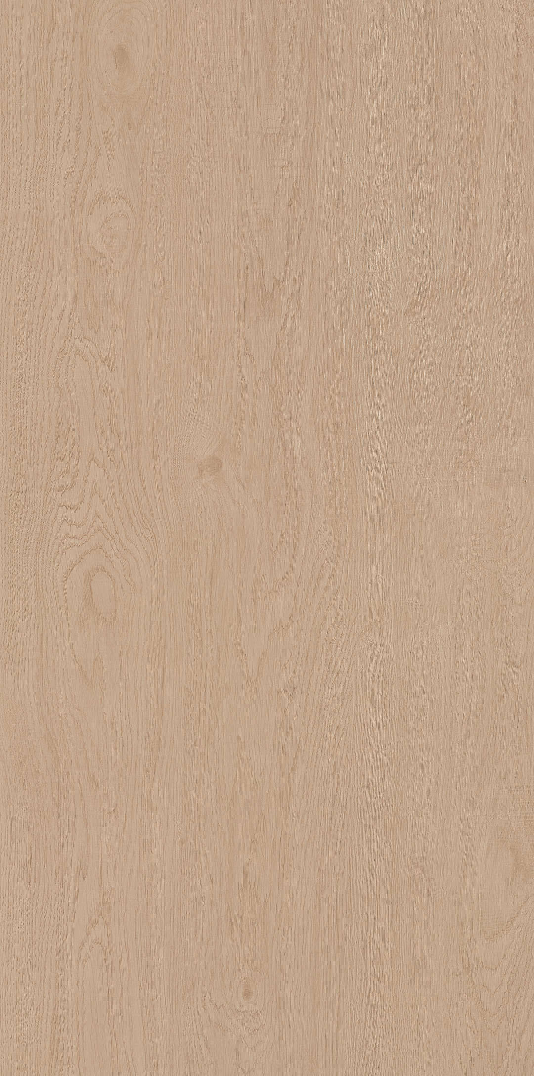 Fragrance · Matt Mould W1206330 · W1206330 single tile image 11