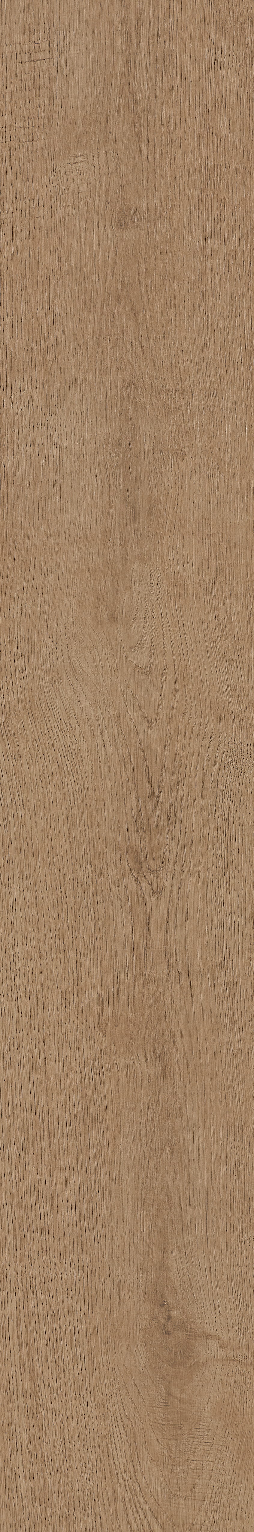 Fragrant · Matt Mould W1202331 · W1202331 Single Tile Image 10