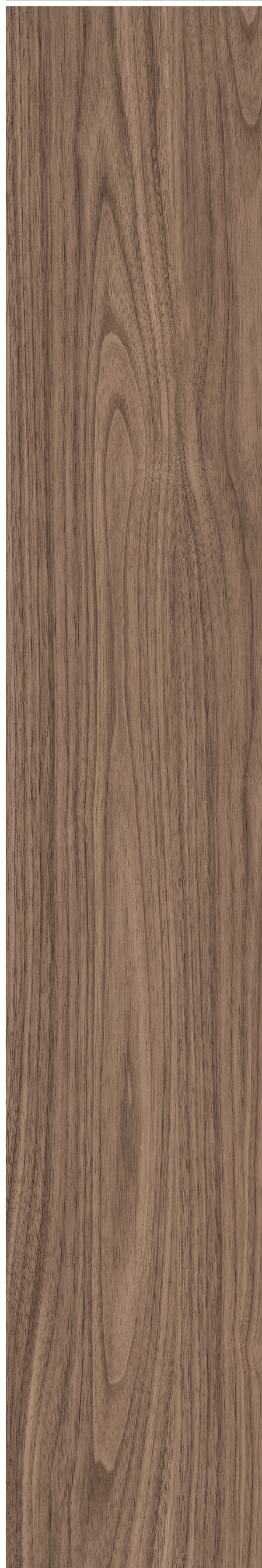 North American Walnut · Matt mould W1202075 · W1202075 single tile image 17