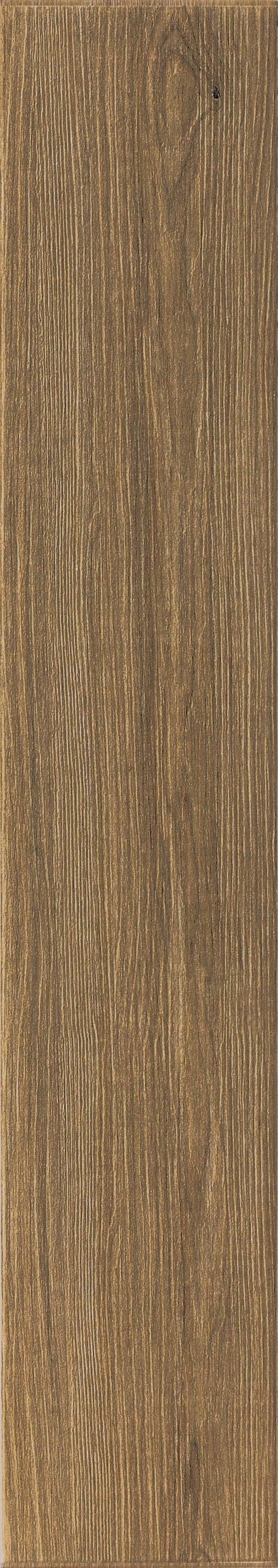 Coral · Matt Mould W901551 · W901551 Single Tile Image 2