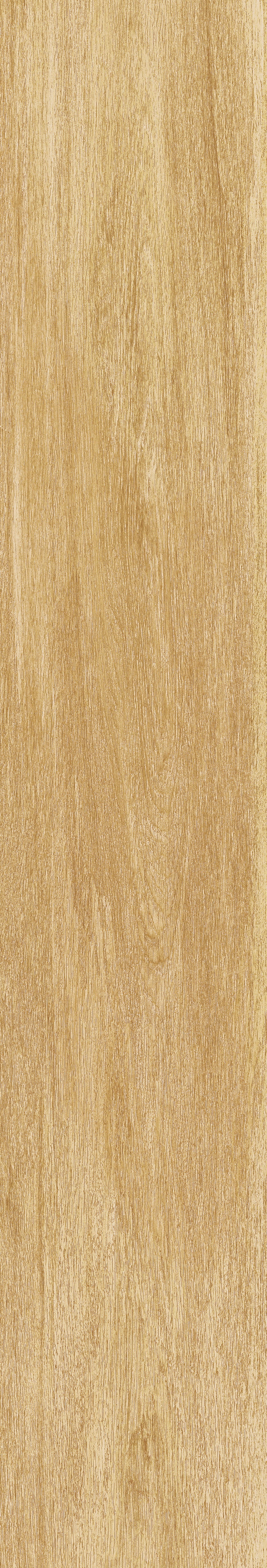 西洋杉 · 哑光模具 W1202032 · W1202032 单片图 3
