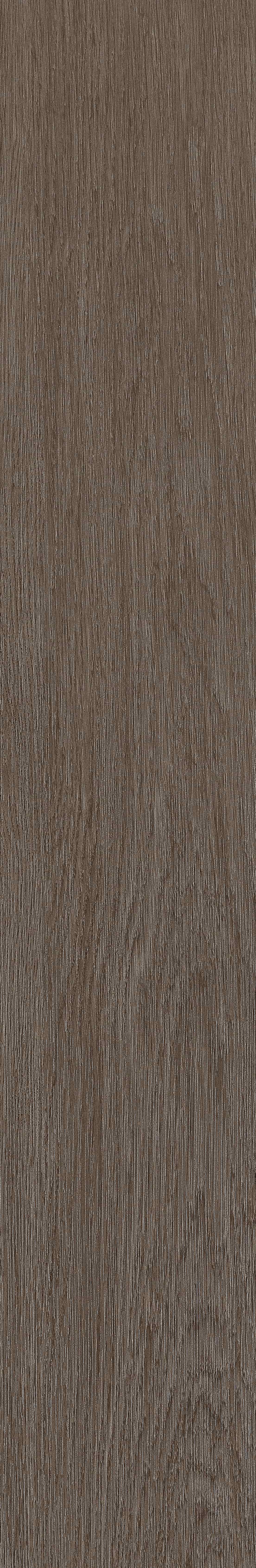 半岛MAX · 数码模具 W1202306 · W1202306 单片图 15