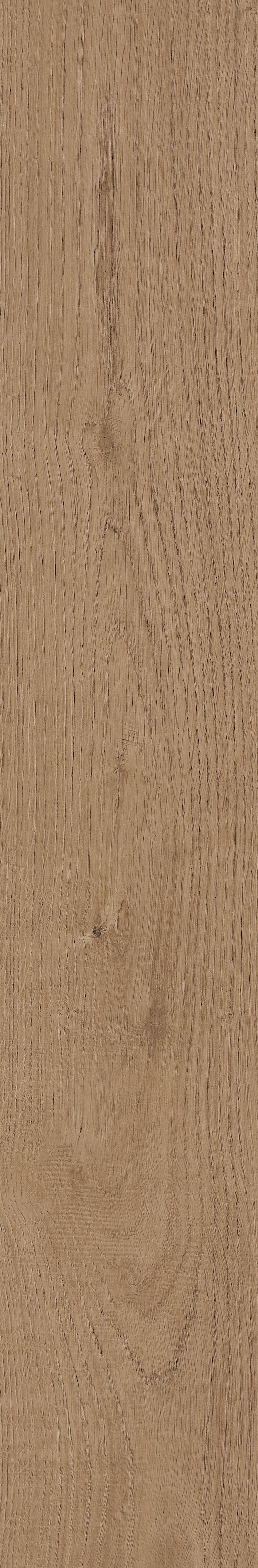 Fragrant · Matt Mould W1202331 · W1202331 Single Tile Image 42