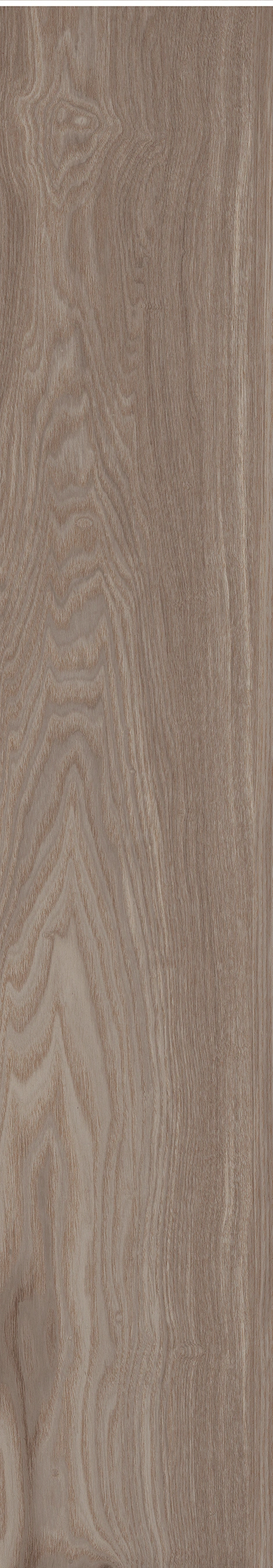 原生橡木 · 哑光模具 W1202074 · W1202074 单片图 16