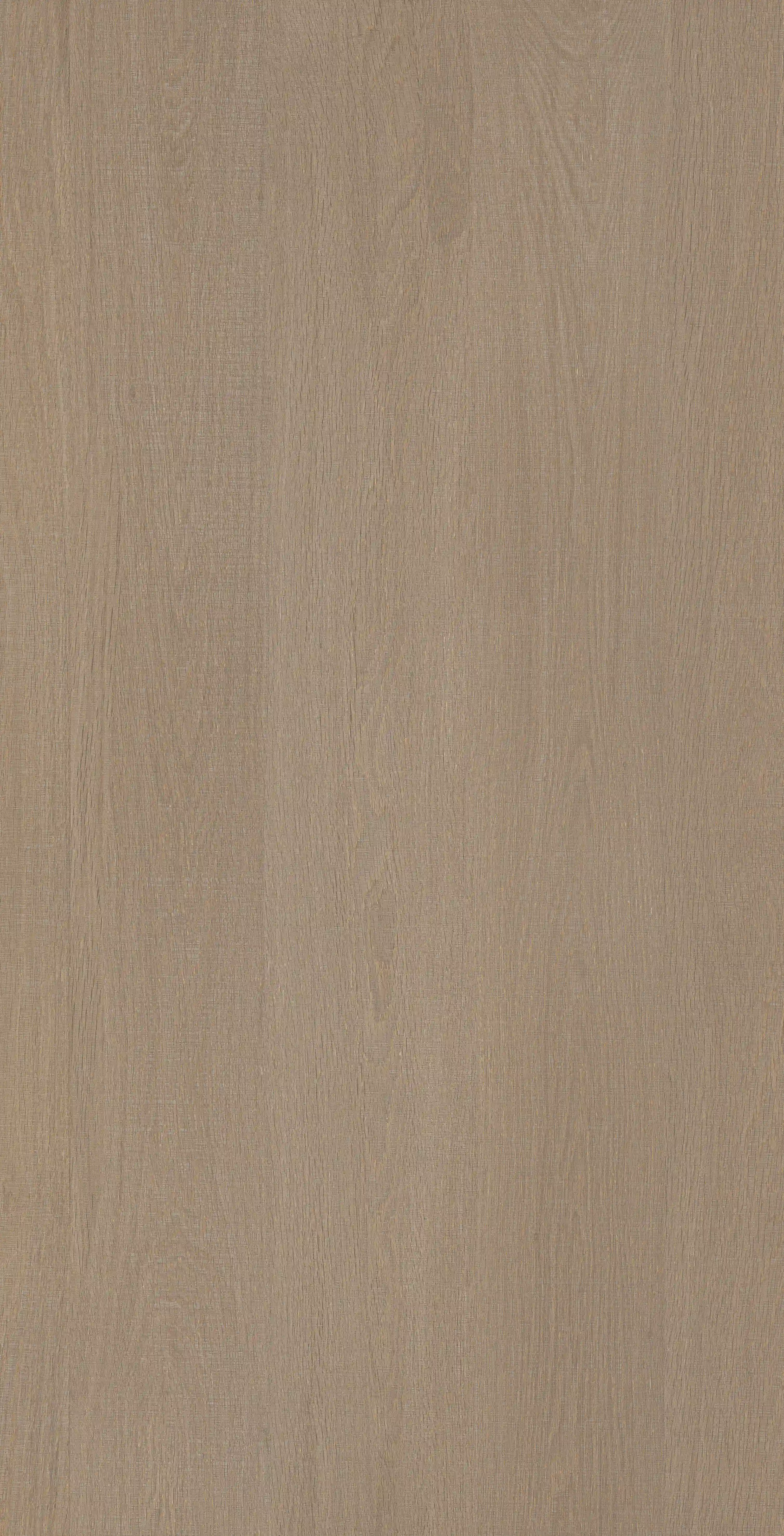 Oak Trace · Porcelain W1507511 · W1507511 single tile image 4