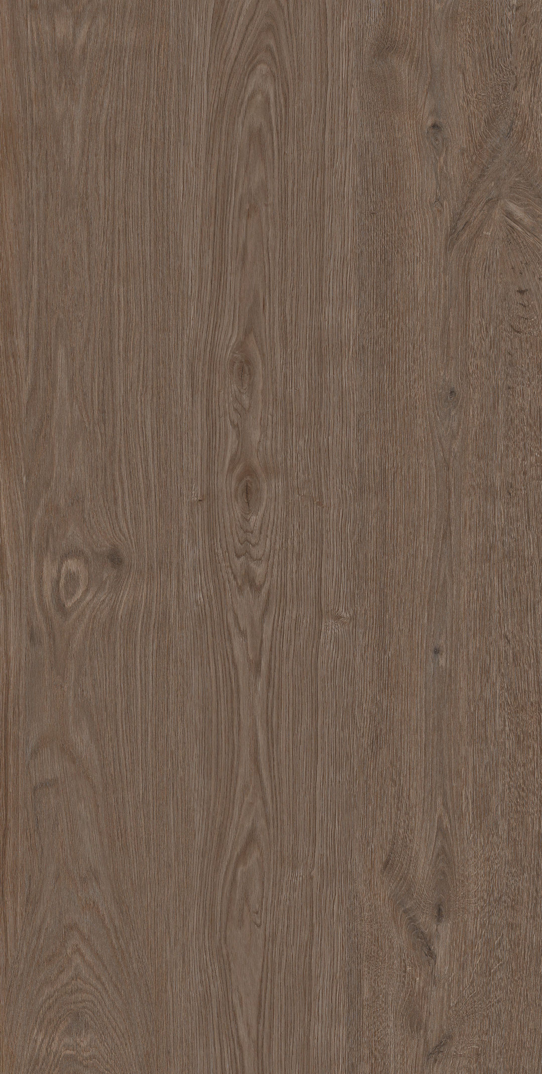 Arden Wood · Matt Mould W1507519 · W1507519 Single Tile Image 9
