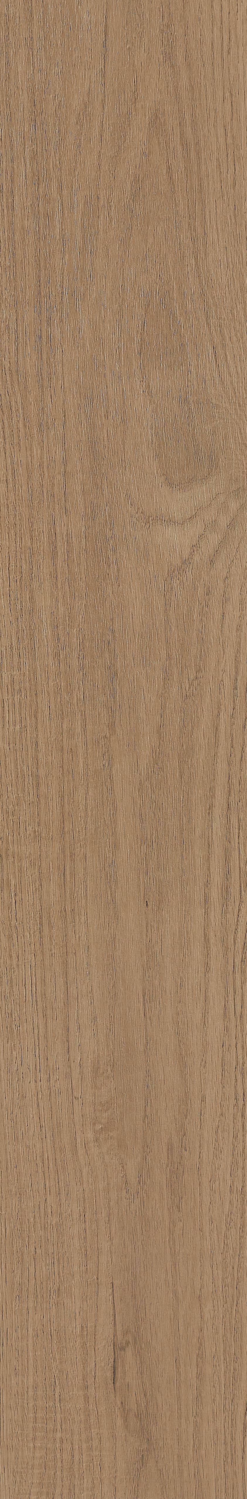 Fragrant · Matt Mould W1202331 · W1202331 Single Tile Image 8