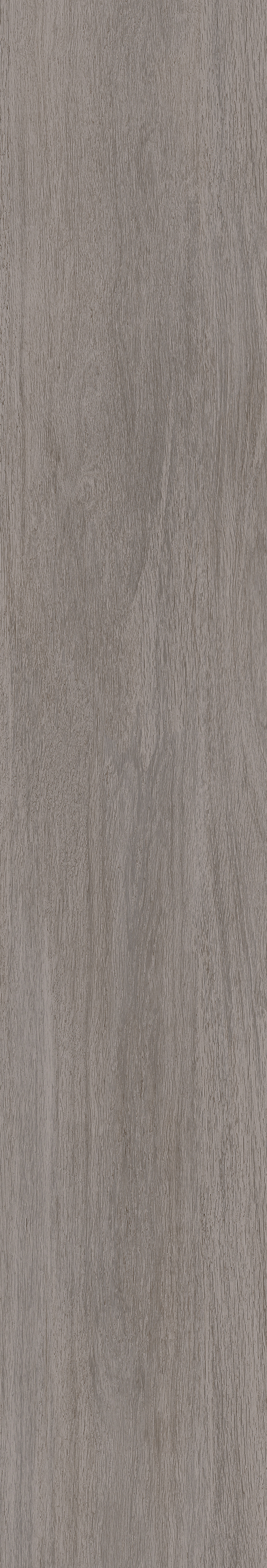 Cedar · Matt mould W15025021 · W15025021 Single tile image 6