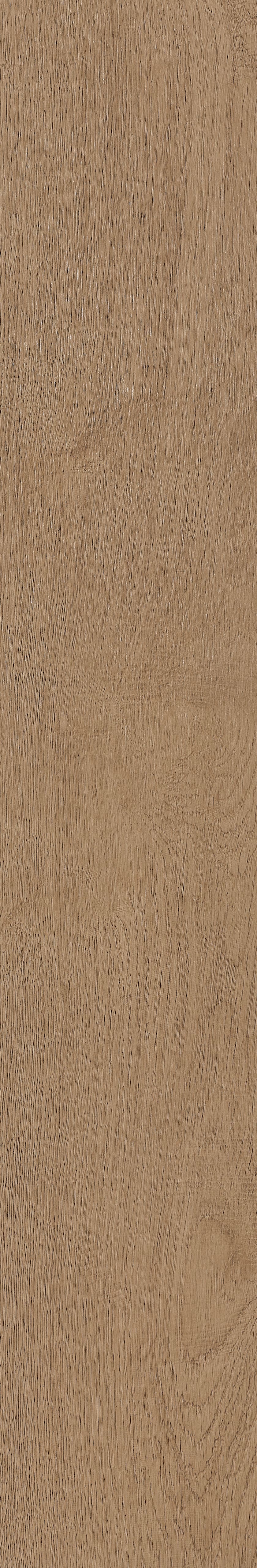 Fragrant · Matt Mould W1202331 · W1202331 single tile image 47