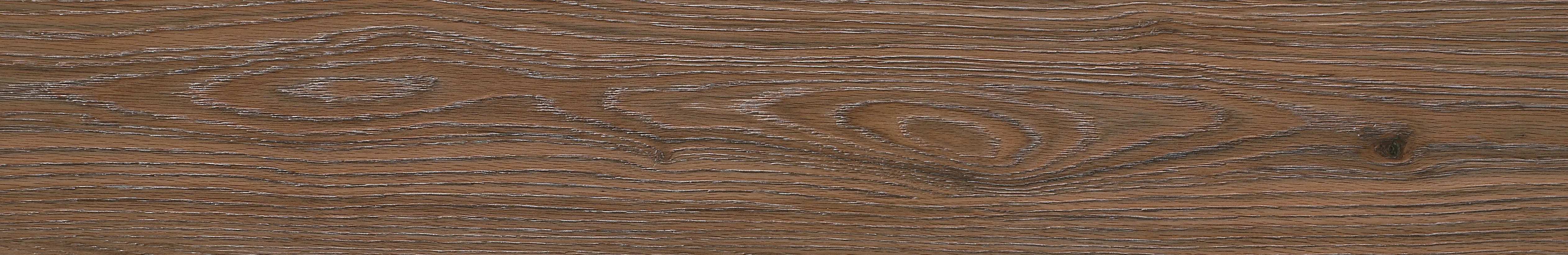 North American Ash · Matt Mould W1202309 · W1202309 Single tile image 16