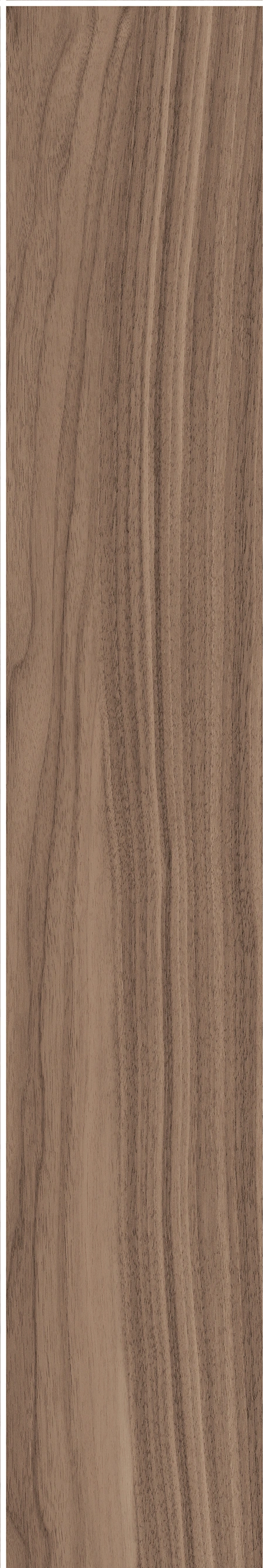 North American Walnut · Matt mould W1202075 · W1202075 single tile image 16