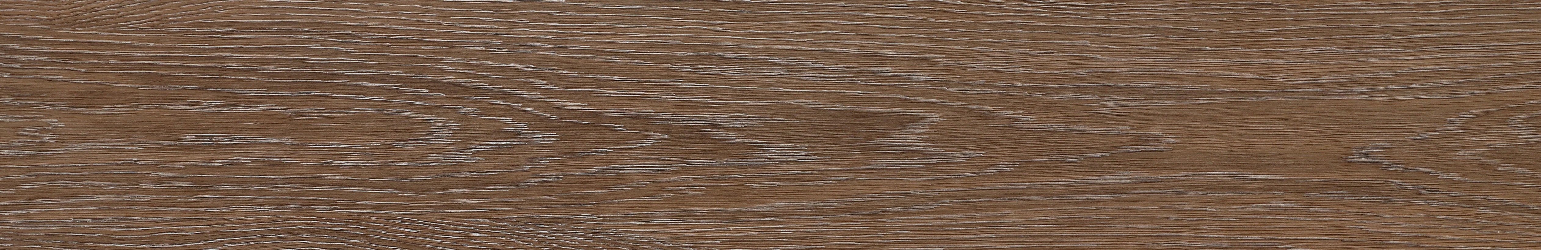 North American Ash · Matt Mould W1202309 · W1202309 Single tile image 15