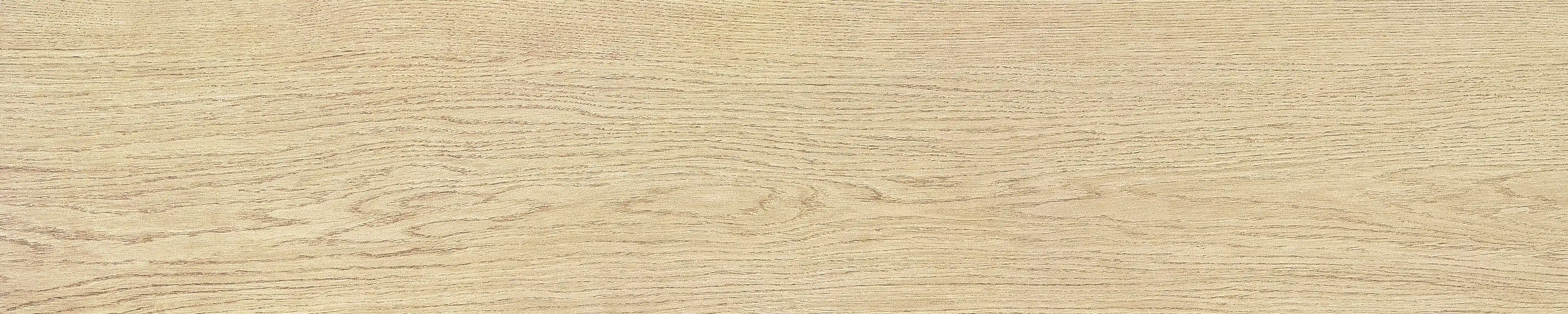 半岛 · 哑光模具 W1002033 · W1002033 单片图 30