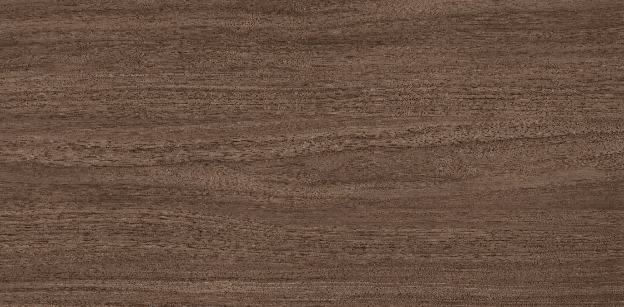 West Coast Walnut · Velvet R1206502 · R1206502 Single tile 6