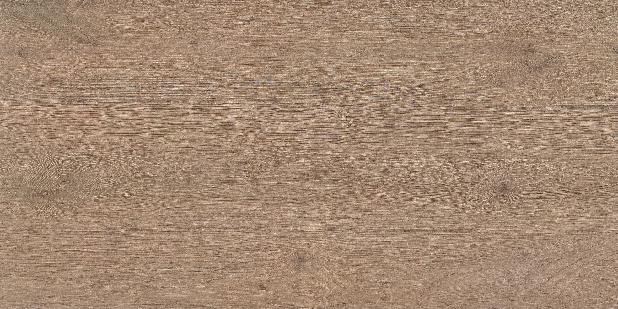 Arden Wood · Matt Mould W1206118 · W1206118 Single Tile Image 4