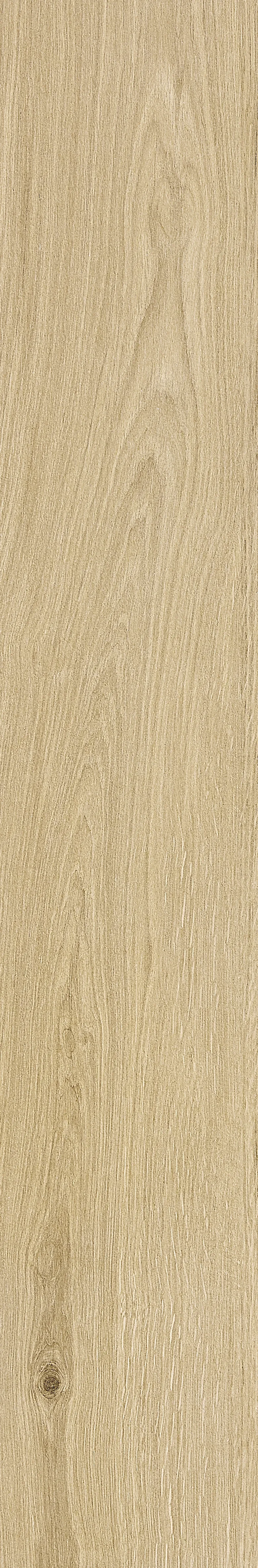 Qianmu · Digital Mould W1202368 · W1202368 Single Tile Image 22