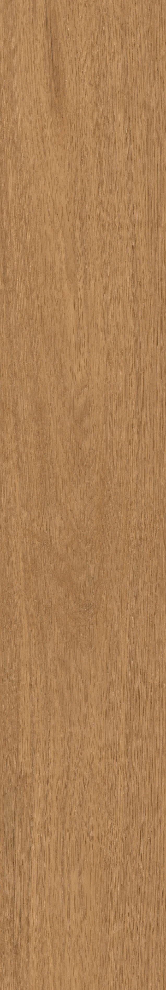 Yangmu · Digital Mould W1202342 · W1202342 Single tile image 14