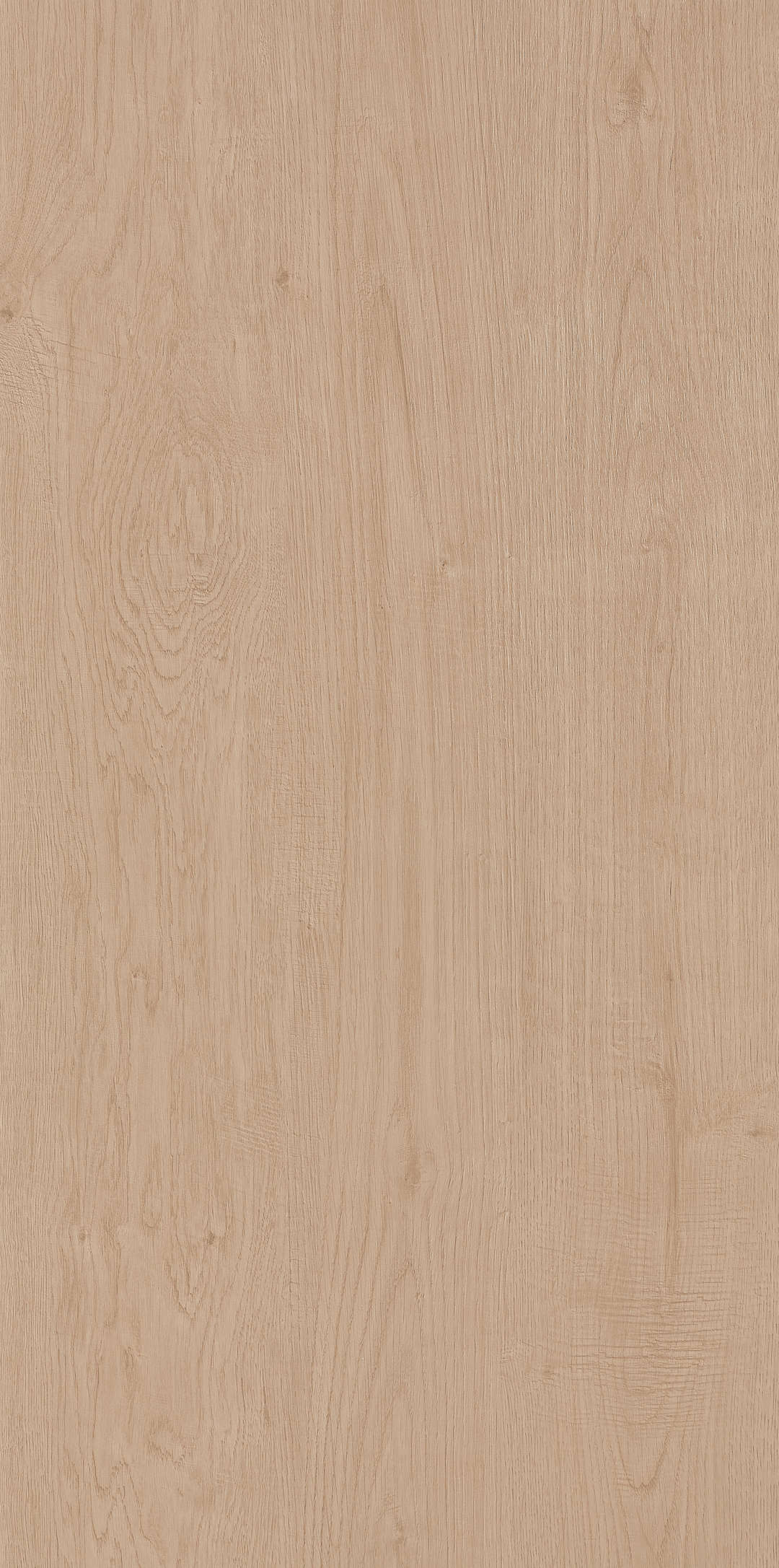 Fragrance · Matt Mould W1206330 · W1206330 single tile image 7