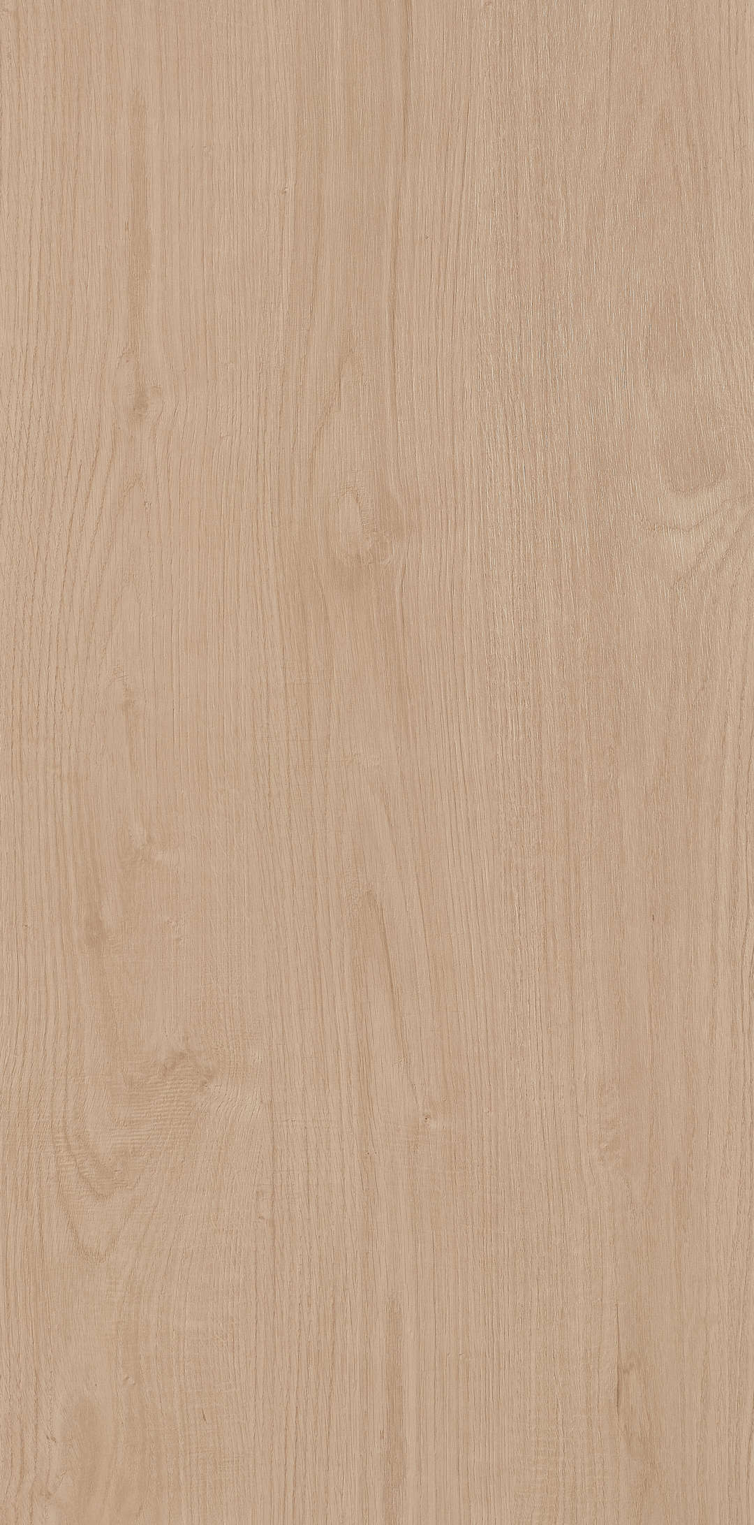 Fragrance · Matt Mould W1206330 · W1206330 single tile image 16