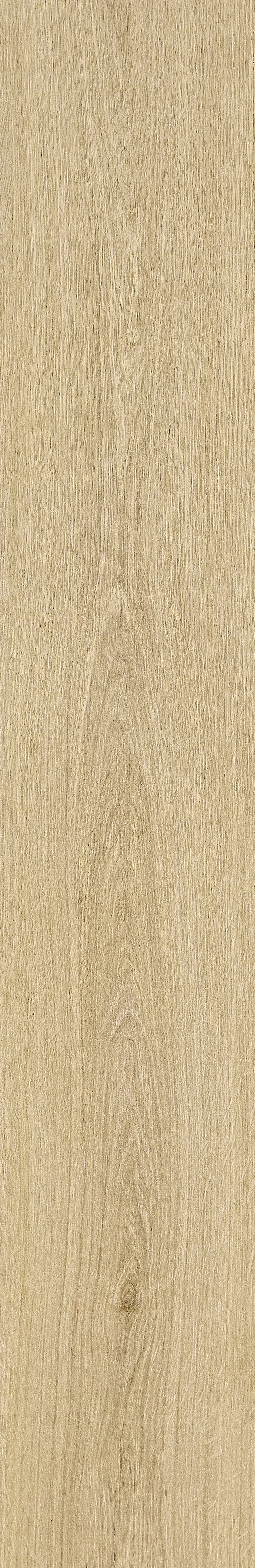 Qianmu · Digital Mould W1202368 · W1202368 Single Tile Image 11