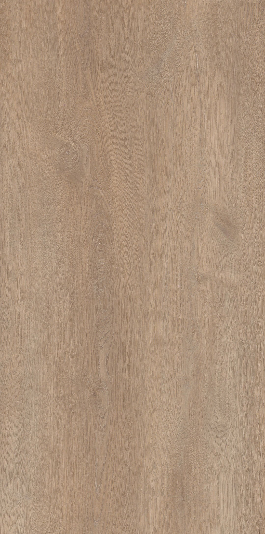 Yimu · Matt Mould W1206530 · W1206530 single tile image 5