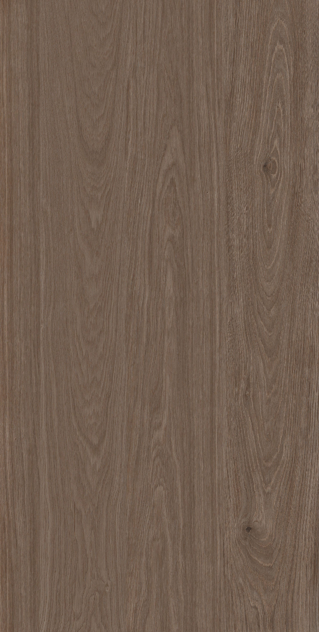 Arden Wood · Matt Mould W1507519 · W1507519 Single Tile Image 3