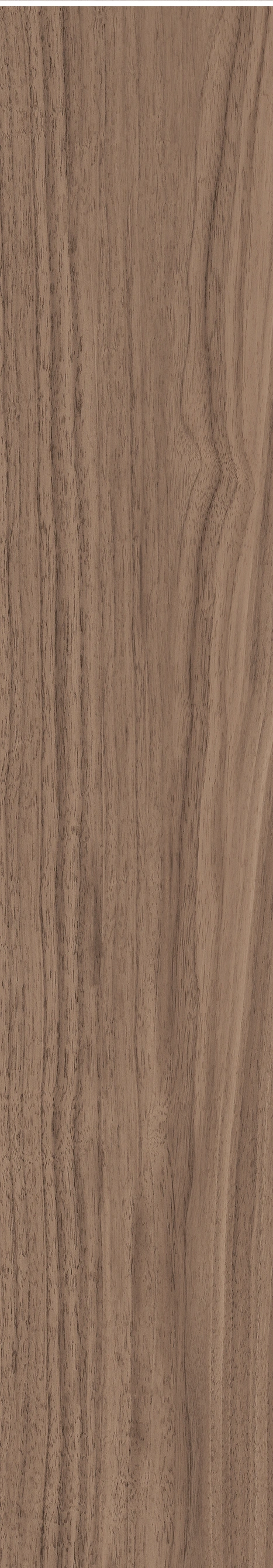 North American Walnut · Matt mould W1202075 · W1202075 single tile image 14