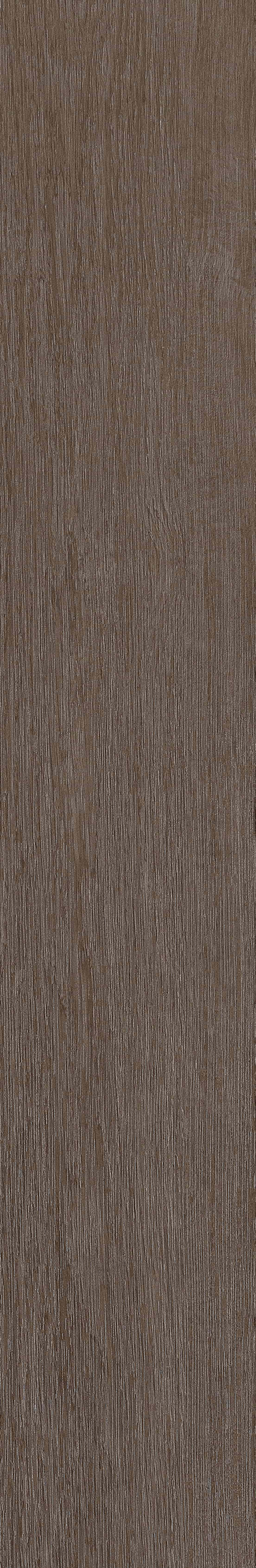半岛MAX · 数码模具 W1202306 · W1202306 单片图 10