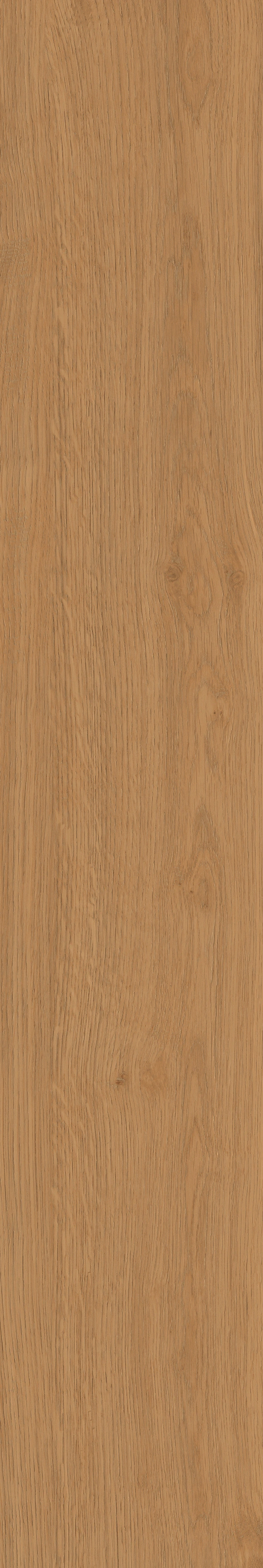 Yangmu · Digital Mould W1202342 · W1202342 Single tile image 16