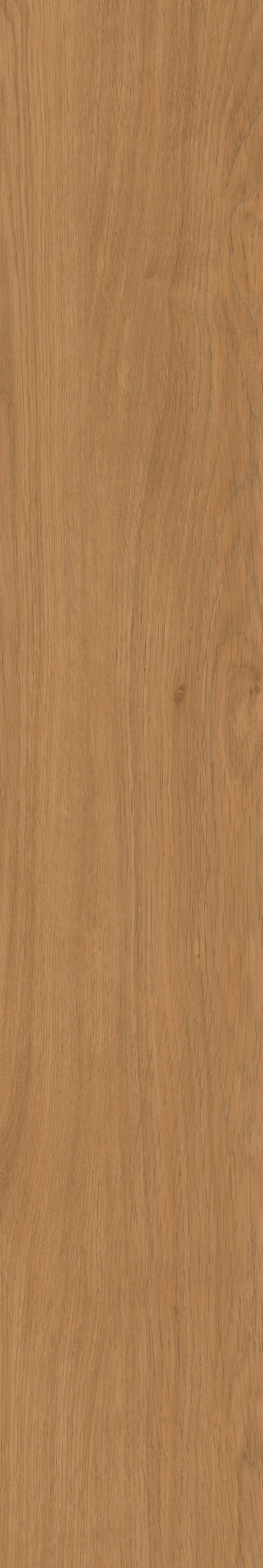 Yangmu · Digital Mould W1202342 · W1202342 Single tile image 31