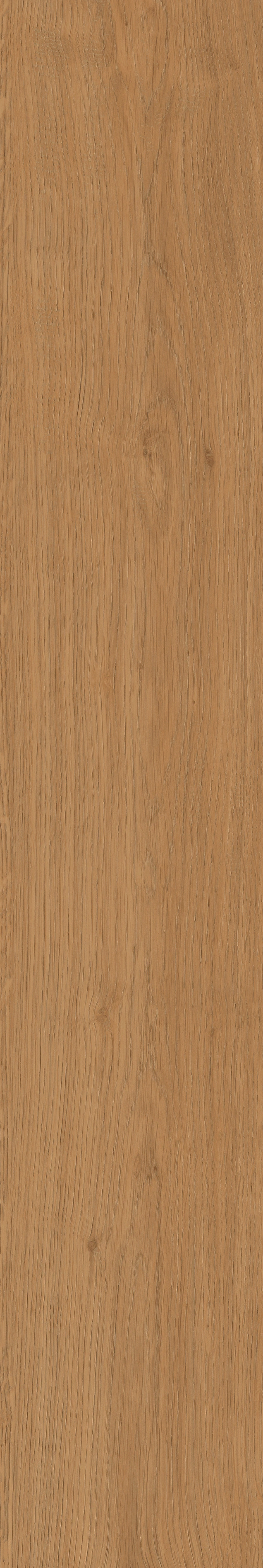 Yangmu · Digital Mould W1202342 · W1202342 Single tile image 5