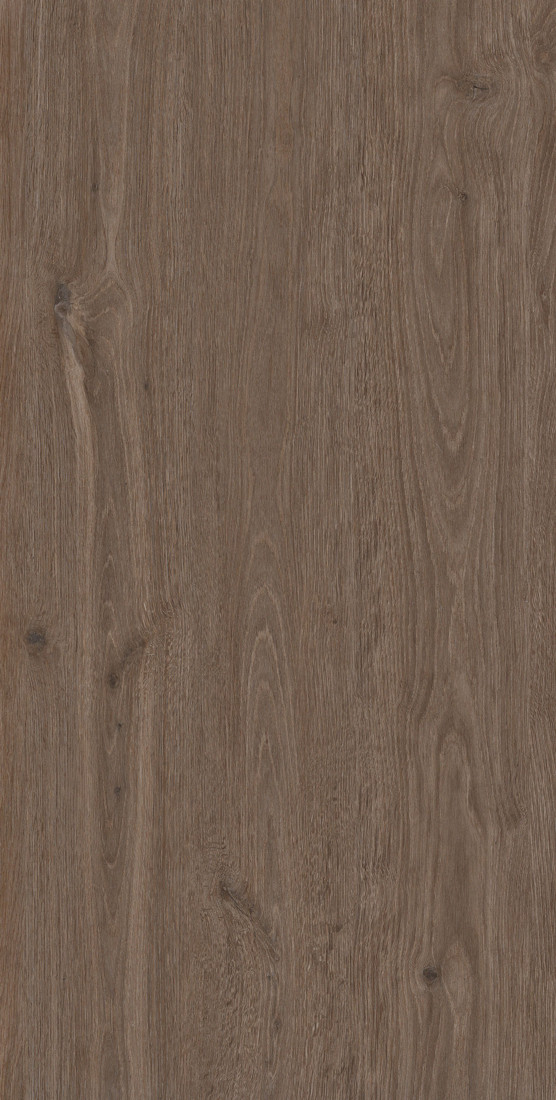 Arden Wood · Matt Mould W1507519 · W1507519 Single Tile Image 2