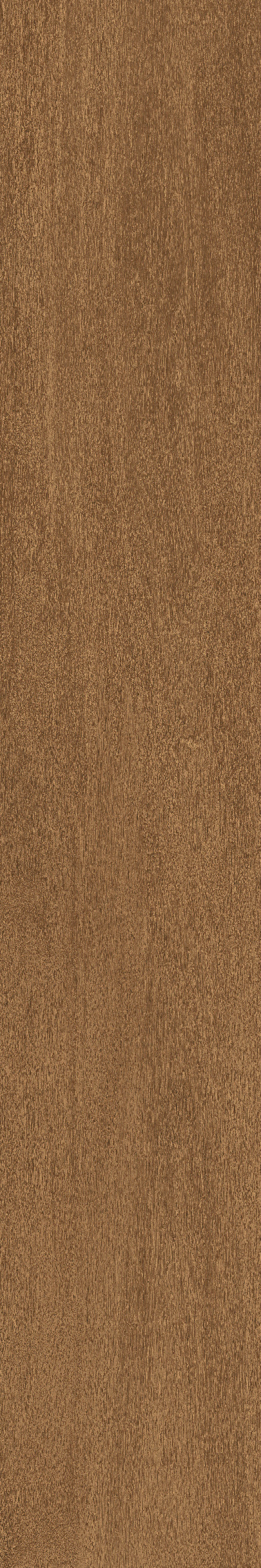 Cedar · Matt Mould W1202325 · W1202325 Single Tile Image 8