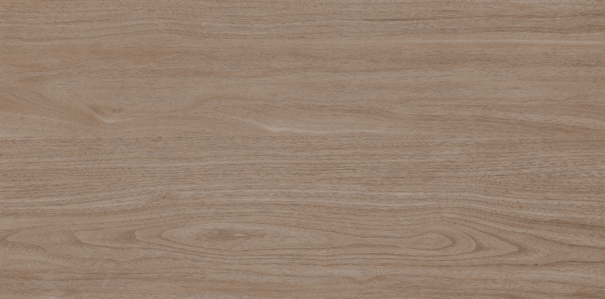 West Coast Walnut · Velvet R1206501 · R1206501 Single tile image 4
