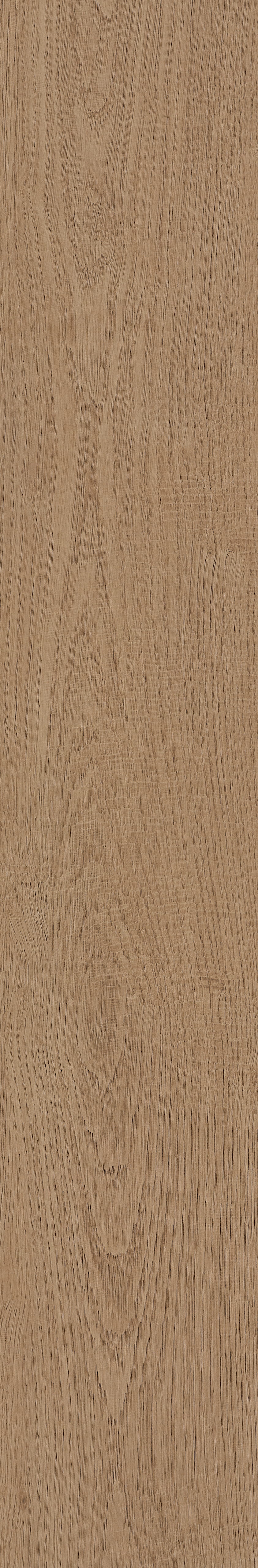 Fragrant · Matt Mould W1202331 · W1202331 single tile image 54