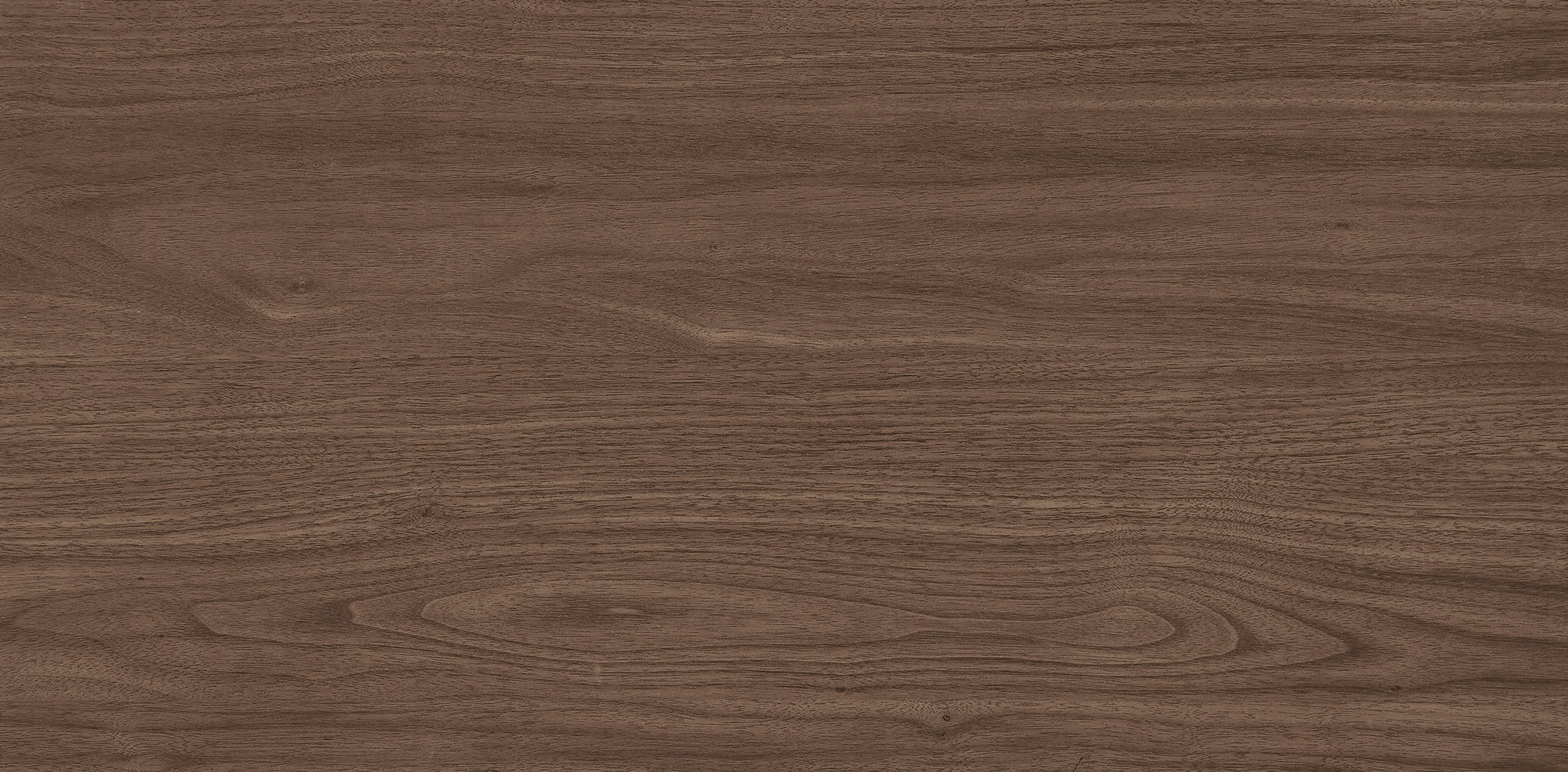 West Coast Walnut · Velvet R1206502 · R1206502 Single tile 8