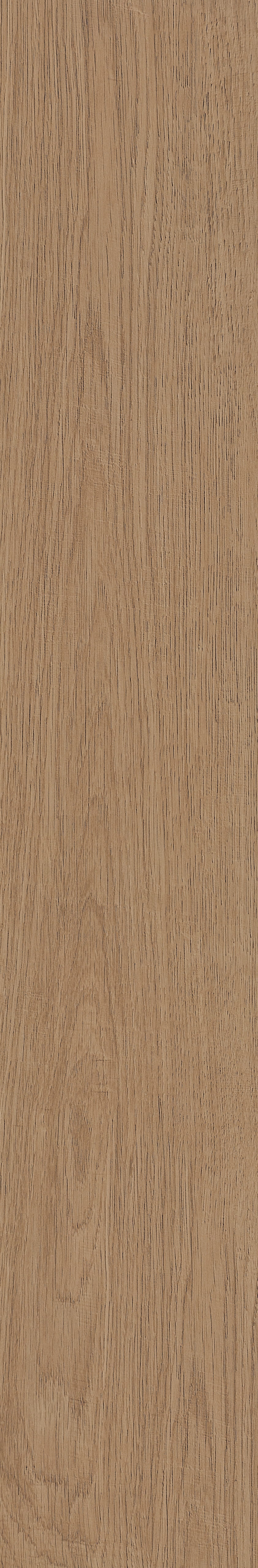 Fragrant · Matt Mould W1202331 · W1202331 Single Tile Image 30