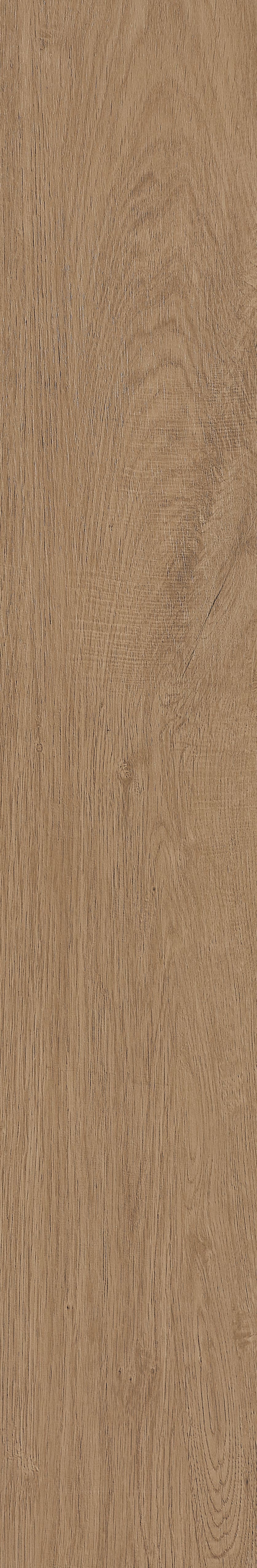 Fragrant · Matt Mould W1202331 · W1202331 Single Tile Image 20