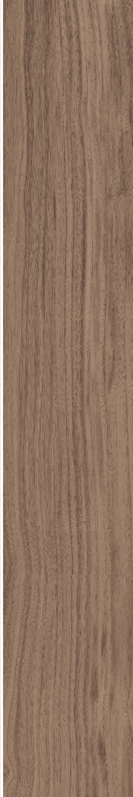 North American Walnut · Matt mould W1202075 · W1202075 Single tile image 29