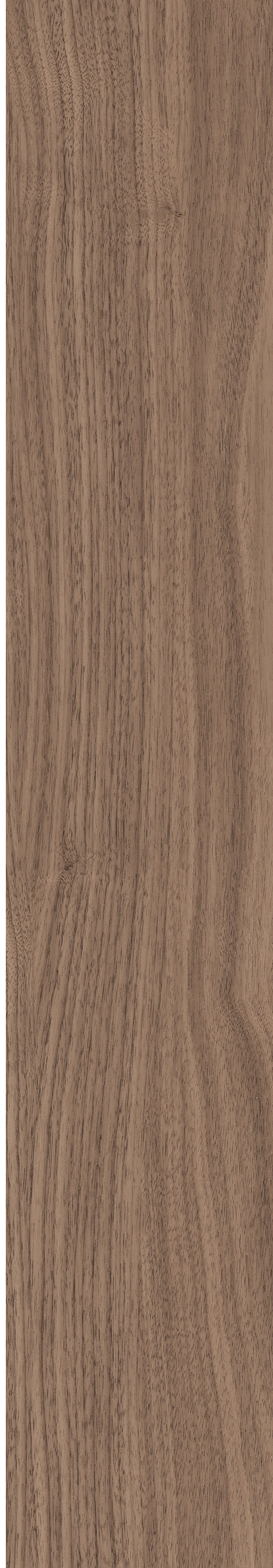North American Walnut · Matt mould W1202075 · W1202075 single tile image 13