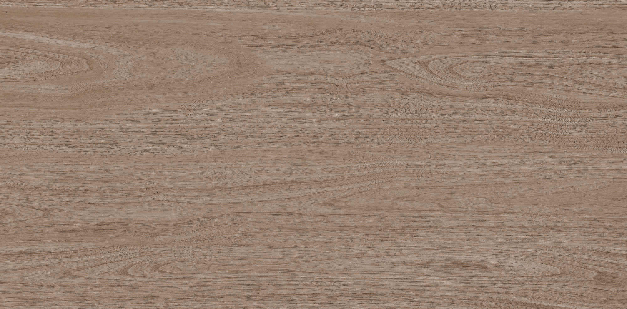 West Coast Walnut · Velvet R1206501 · R1206501 Single tile image 5