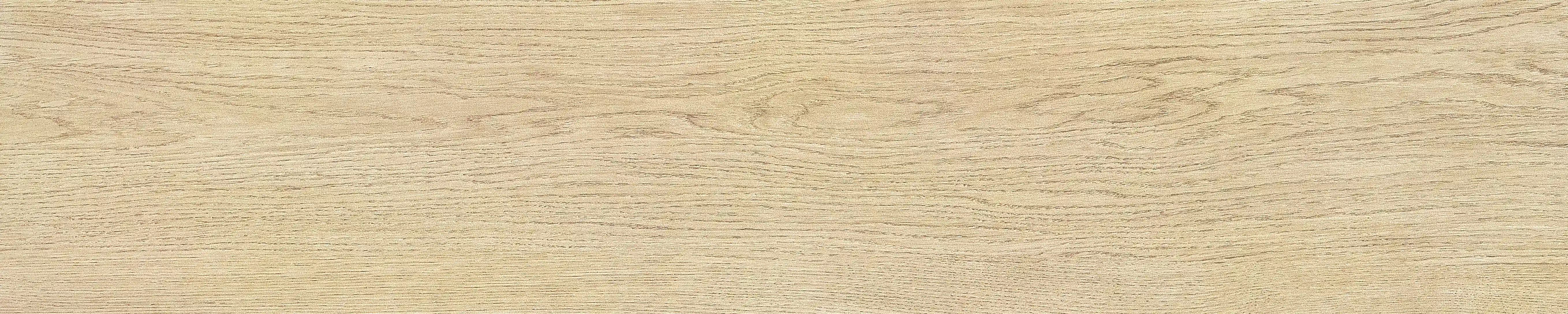半岛 · 哑光模具 W1002033 · W1002033 单片图 15